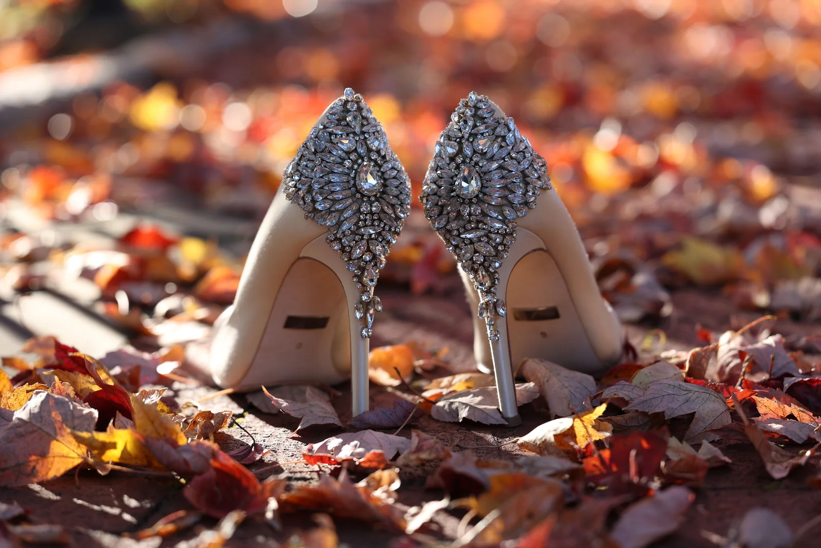 Chaussures à talons habillées posées sur des feuilles d'automne, accessoires d'invitée